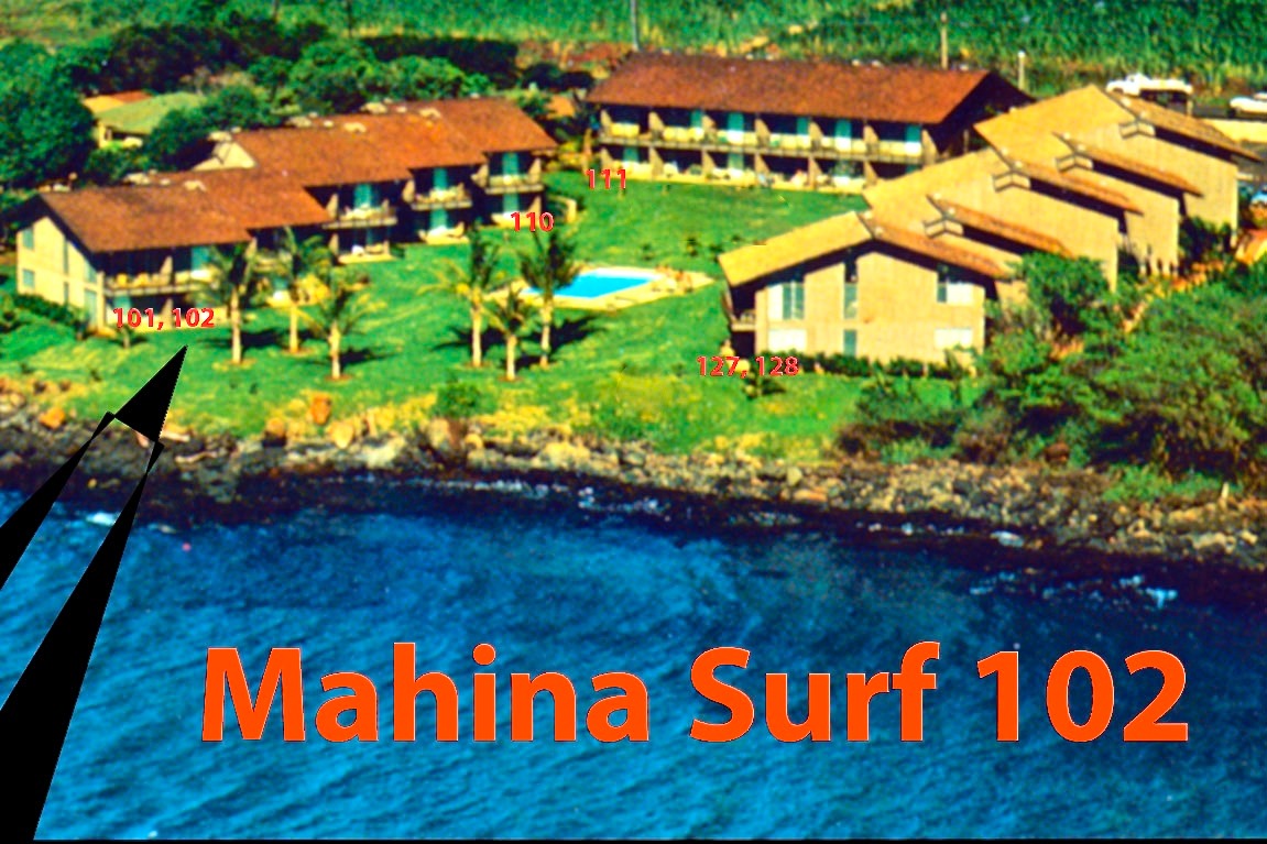 MahinaSurf1970